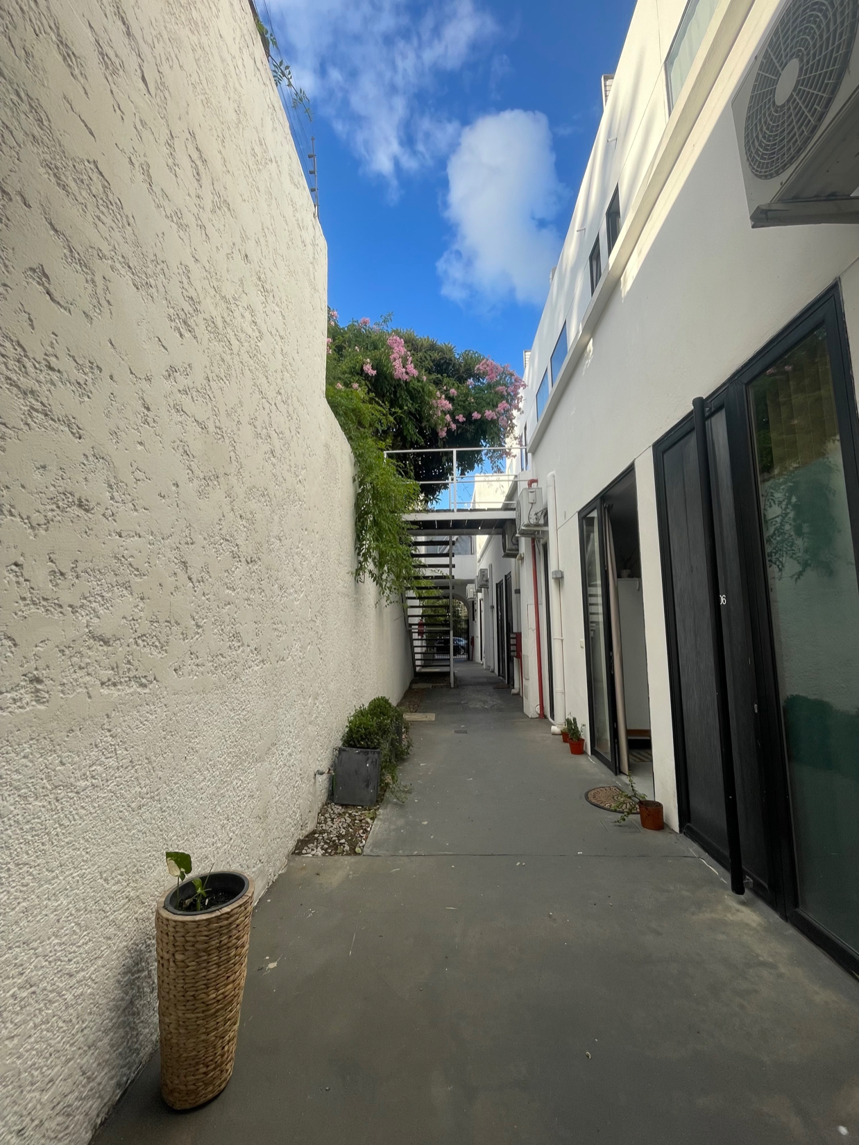Venta, 1 Dormitorio con Patio- Ideal inversión!! Punta Carretas!! - Ansicht 4