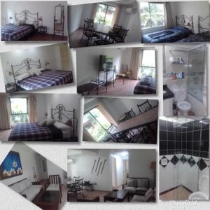 Alquilo Departamento Amoblado  Z/ Roca Y Coronado 