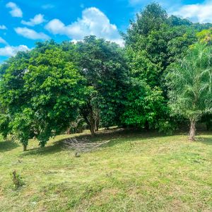 Hermoso Terreno En Buena Vista