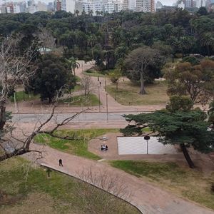 Monoambiente Alto Vista Al Lago Del  Parque  Rodó  Estado.porteria Ascensor
