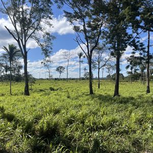 Hermosa Porpiedad Ganadera Y Frutícola