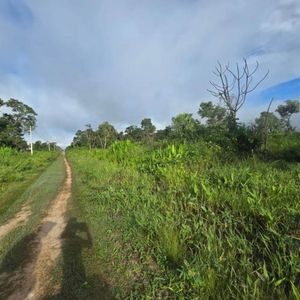 En Venta 5,000 Hectareas De Terreno En El Beni