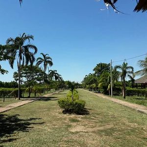 ¡quinta Súper Completa En Venta!