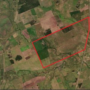 Venta Campo En Migues