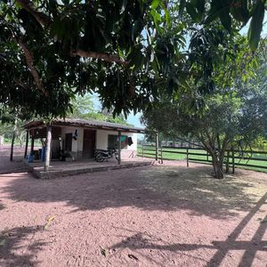 En Venta Propiedad Ganadera - San Ignacio De Velasco