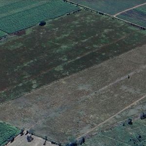 Propiedad Agricola Cañera En Zona Norte (tc7)