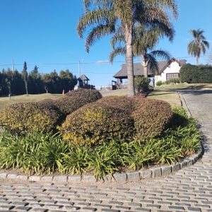 Excelente Terreno En Carmel Barrio Privado