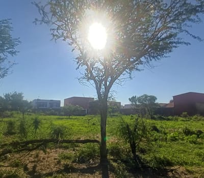 Terrenos En Venta Zona Sur Este   A 2 Cuadras De La Av.16 De Julio  Zona Cumavi