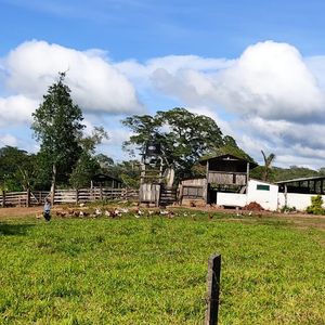 Propiedad En Venta Mas Ganado En San Javier 