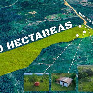 Venta Propiedad Las Cruces 20 Hectareas