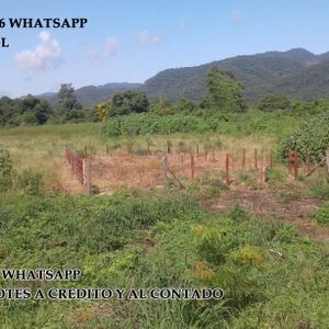 Venta De Lotes