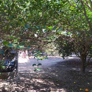 Quinta En Venta, Zona Sur Las Pampitas