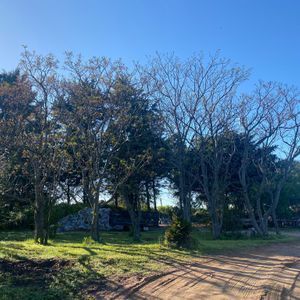 Venta De Lote En La Tahona, Carmel..