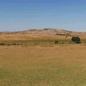 Campo Sobre Ruta 9