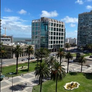 Venta  Apartamento En Plaza Independencia