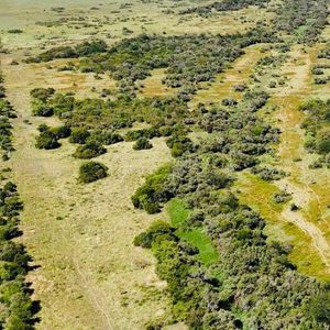 Campo En Venta En Soriano