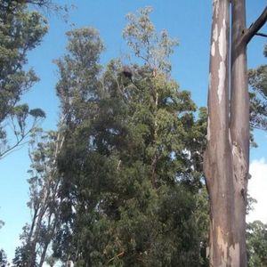 Si Lo Que Desea Es Construir Su Comercio O Vivienda, En Solanas-portezuelo,