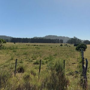 Venta Fracción De Campo En Zona La Pataia
