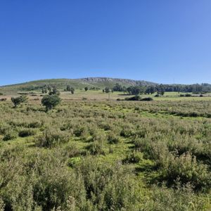 Venta Chacra De 1 Hectárea Zona Rural Maldonado
