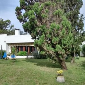 Venta Casa En Tio Tom Muy Cerca Del Mar