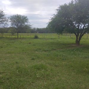 En Venta 31 Hectáreas Sobre La Transcon Para Silos, Empresas O Granjas