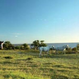 Chacras En Venta La Baguala