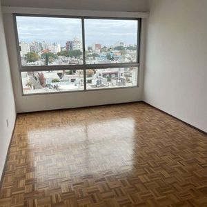 Muy Linda Planta En Pocitos