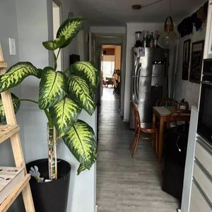 Venta, Centro, Apartamento, 3 Dormitorios