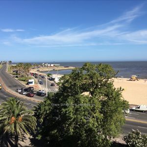 Venta Apartamento 3 Dormitorios Pocitos