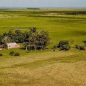 Excelente Estancia Completa Agrícola-ganadera, Sobre R.9 Y Costa Laguna Castillos