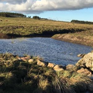 Lindo Campito De 37 Has A Metros De Ruta 12 Y 15 Minutos De Pueblo Edén.