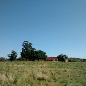 51 Has Campo Secreto