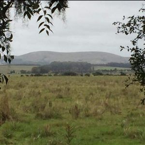 128 Has A 3 Kms De R.9 Lindo Campito E Invernada !