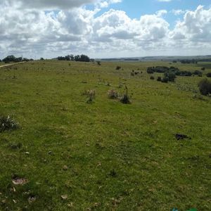 Linda Fraccion De Campo Agricola - Ganadero 177 Has Castillos