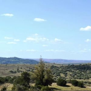Chacras Serranas, 5 Has Por $ 50.000...!!!