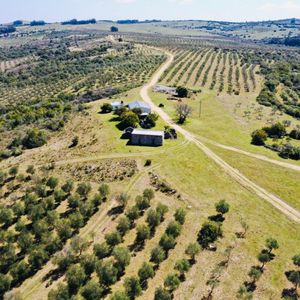 Bajo De Precio !!! Preciosas Chacra Con Olivos En Finca Babieca, Vistas Sierras, Arroyo, Pueblo Eden