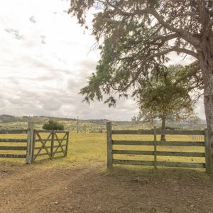 Estancia De 882 Has, Campo Mixto Ganadero - Forestal Muy Bien Ubicado