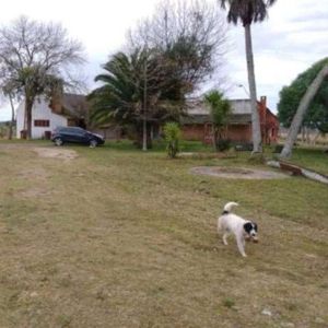 Buen Campo Ganadero Con Muy Buen Acceso Sobre Ruta
