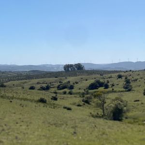 Chacras Con Vistas únicas, Olivos, Sierras Y Descanso... !! Atención Precio Rebajado !!