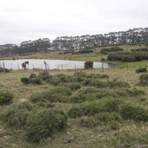 Campo En Venta
