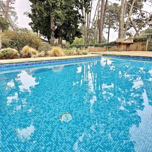 Casa En Alquiler, 4 Dormitorios Y Piscina Climatizada, Zona Colegios, Punta Del Este