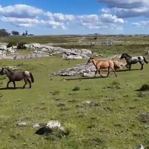 Gran Potencial Turístico, Apto Para Fraccionamiento De Chacras En Ubicación Inmejorable.