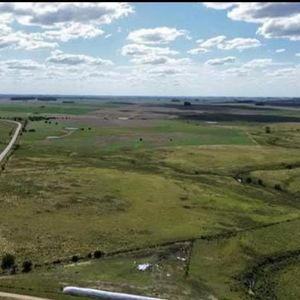 150 Has Campo Agrícola Ganadero A Tan Solo 10 Kms De Florida (bajo De Precio) !