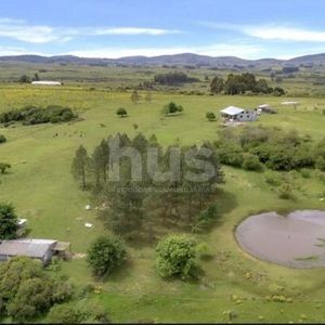 Venta Chacra Pueblo Eden