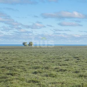 Campo Turístico Sobre Océano En Rocha.