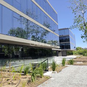 Alquiler De Oficina, Carrasco