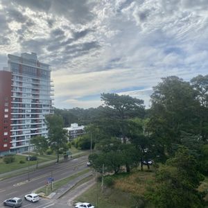 Alquiler Temporal  Apartamento De 1 Dormitorio Y Medio- Stradvarius Punta Del Este