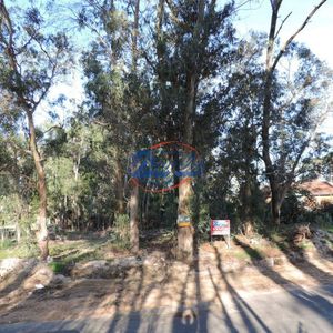 Terrenos En Punta Del Este