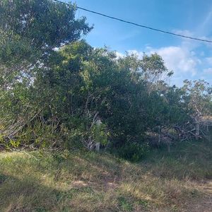 Terreno En Punta Rubia, Naturaleza, Playa Y Futuro