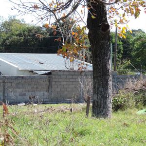 Amplio Terreno Con Acceso A Todos Los Servicios